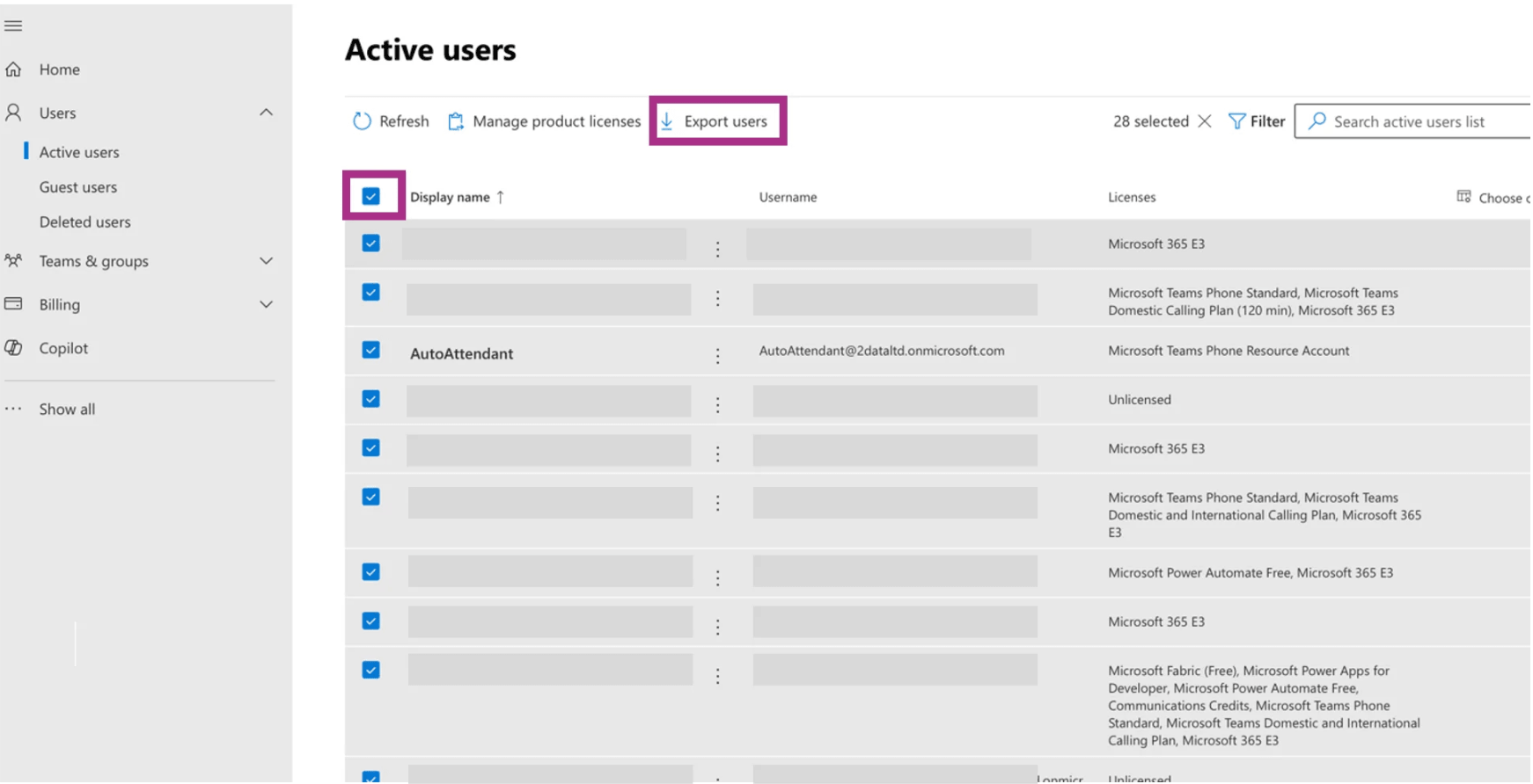 Export Users